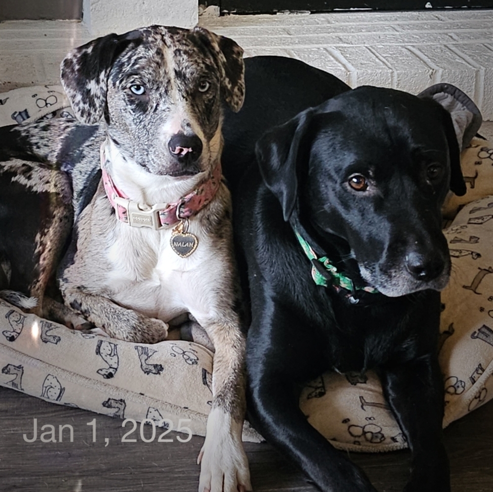 Meet your Posher, Traci